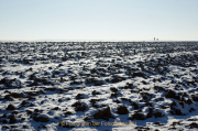 Winterlandschaften - Fotografin Anne Jeuk