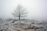 Winterlandschaften - Fotografin Anne Jeuk