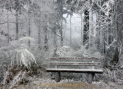 Winterlandschaften - Fotografin Anne Jeuk