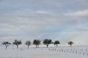 Winterlandschaften - Fotograf Albert Wenz