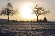 Winterlandschaften - Fotograf Albert Wenz