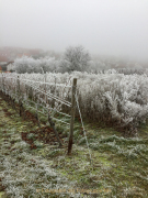 Winterlandschaften - Fotograf Clemens Schnitzler