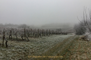 Winterlandschaften - Fotograf Clemens Schnitzler