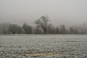 Winterlandschaften - Fotograf Clemens Schnitzler