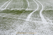 Winterlandschaften - Fotograf Clemens Schnitzler