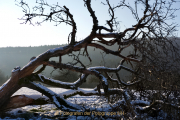 Winterlandschaften - Fotograf Henry Mann