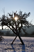 Winterlandschaften - Fotograf Henry Mann