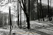 Winterlandschaften - Fotograf Henry Mann