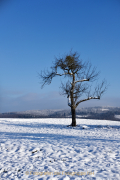 Winterlandschaften - Fotograf Henry Mann