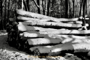 Winterlandschaften - Fotograf Henry Mann
