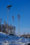 Winterlandschaften - Fotograf Henry Mann