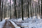 Winterlandschaften - Fotograf Henry Mann