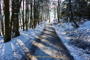 Winterlandschaften - Fotograf Henry Mann