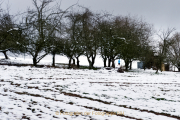 Winterlandschaften - Fotograf Henry Mann