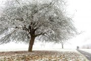 Winterlandschaften - Fotografin Jutta R. Buchwald