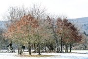 Winterlandschaften - Fotografin Jutta R. Buchwald