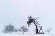 Winterlandschaften - Fotografin Jutta R. Buchwald
