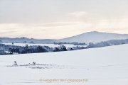 Winterlandschaften - Fotografin Jutta R. Buchwald