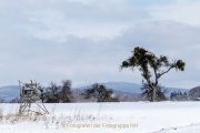 Winterlandschaften - Fotografin Jutta R. Buchwald