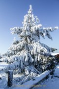 Winterlandschaften - Fotografin Jutta R. Buchwald