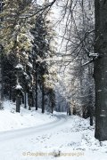 Winterlandschaften - Fotografin Jutta R. Buchwald