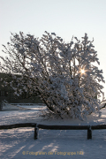 Winterlandschaften - Fotograf  Werner Ch. Buchwald