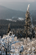 Winterlandschaften - Fotograf  Werner Ch. Buchwald