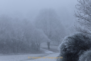 Winterlandschaften - Fotograf  Werner Ch. Buchwald