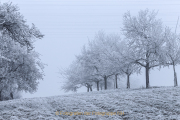 Winterlandschaften - Fotograf  Werner Ch. Buchwald
