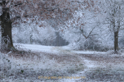 Winterlandschaften - Fotograf  Werner Ch. Buchwald