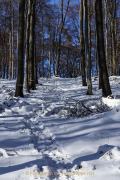 Winterlandschaften - Fotograf  Werner Ch. Buchwald