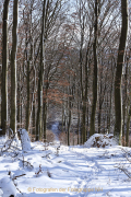 Winterlandschaften - Fotograf  Werner Ch. Buchwald