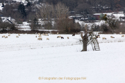 Winterlandschaften - Fotograf  Werner Ch. Buchwald