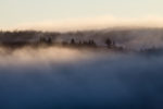 Nebel