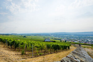 Außerhalb der Klostermauer